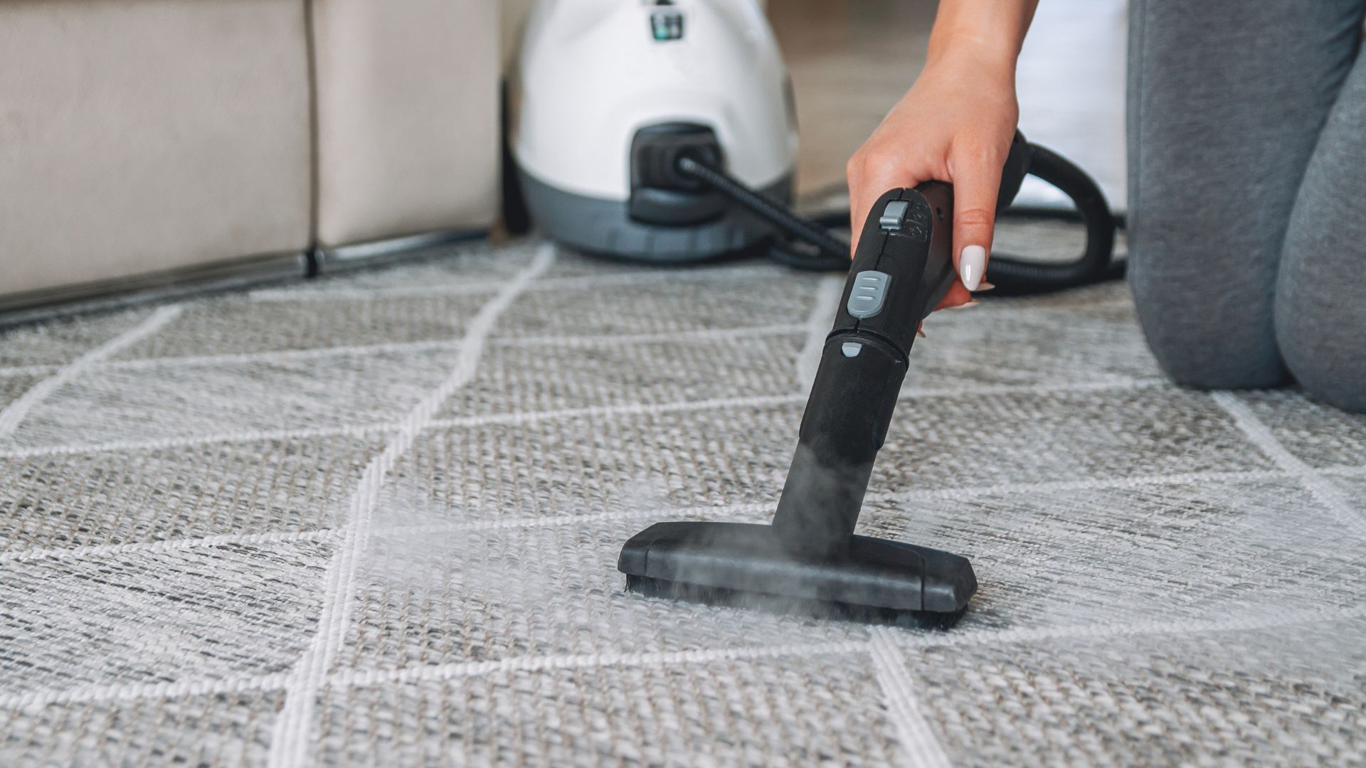 Carpet Steam Cleaning